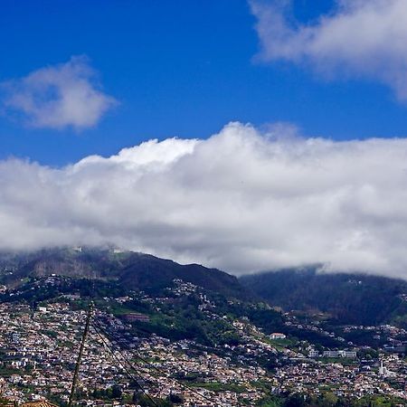 Hotel The Flame Tree Madeira (Adults Only) Funchal  Exteriér fotografie