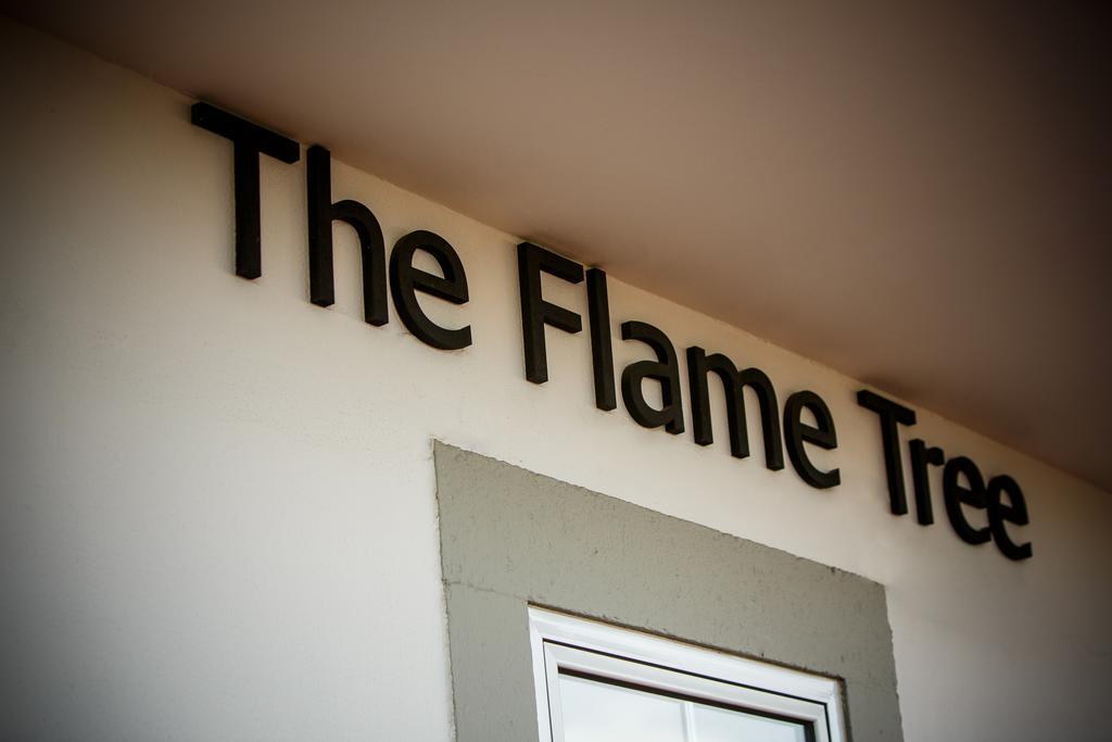 Hotel The Flame Tree Madeira (Adults Only) Funchal  Exteriér fotografie