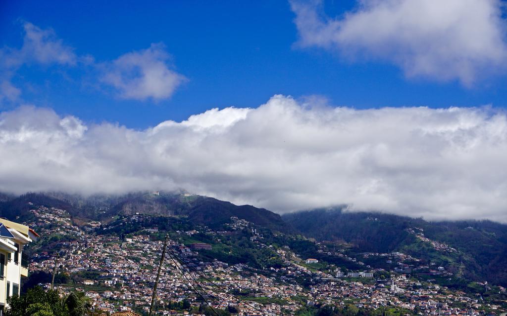 Hotel The Flame Tree Madeira (Adults Only) Funchal  Exteriér fotografie